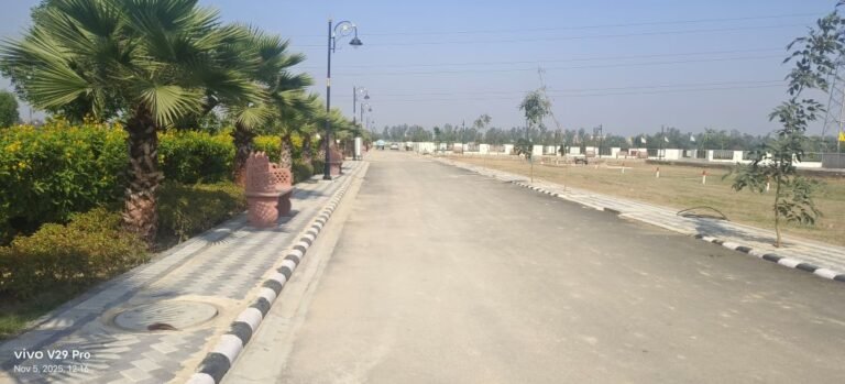 Sourh City 01 sector 36 Jhajjar