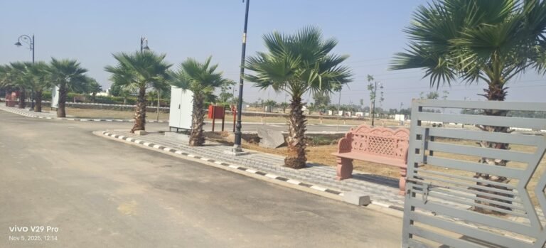 south city jhajjar Haryana