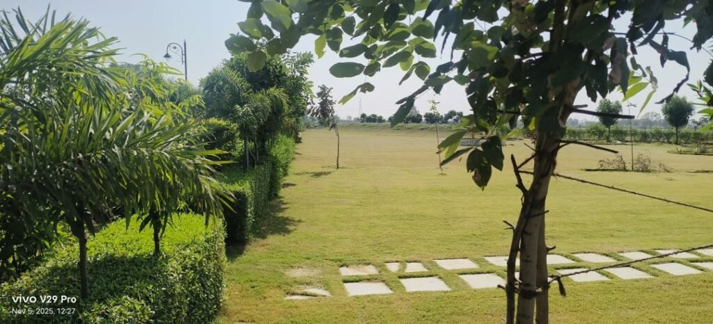 South City 01 sector 36 Jhajjar