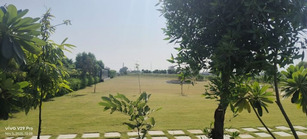 South City 01 sector 36 Jhajjar