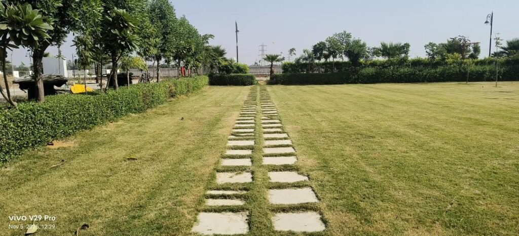 South City 01 sector 36 Jhajjar