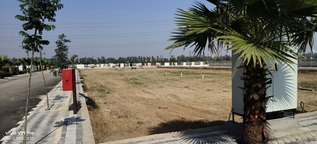 South City 01 sector 36 Jhajjar